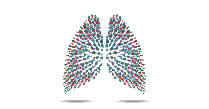 lung image