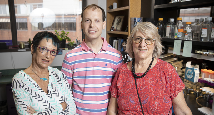 From left, Sheila Collins, PhD, Ryan Ceddia, PhD, and Heidi Hamm, PhD, and their colleagues have identified a potential new approach to reducing the global impact of obesity and diabetes. (photo by Erin O. Smith)
