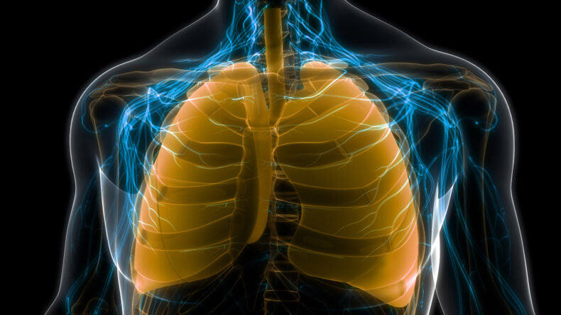 colorful x-ray illustration of lung and pulmonary anatomy