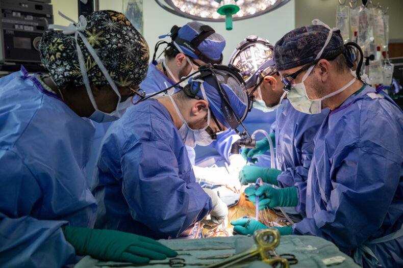 A team of surgeons work around a patient during a heart transplant surgery.