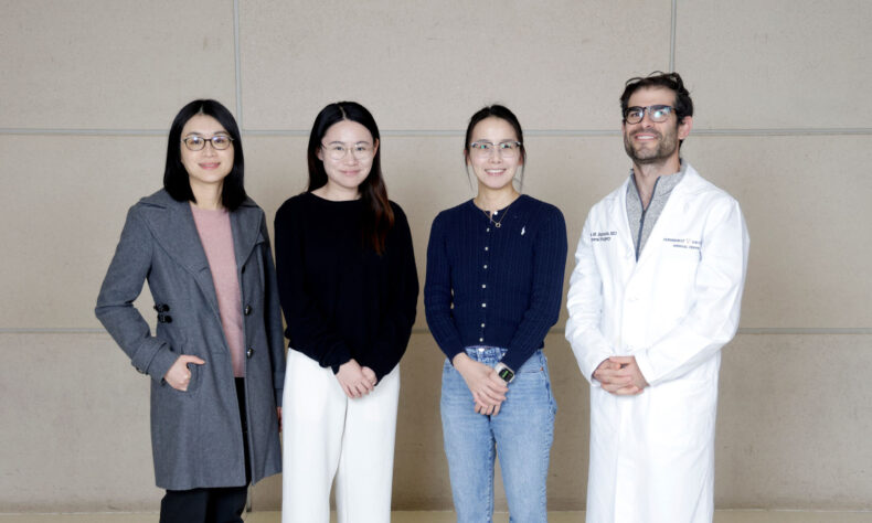 From left, Danxia Yu, PhD, Zicheng Wang, MS, Lei Wang, PhD, and Jason Samuels, MD, are co-authors of a paper evaluating body composition changes after bariatric surgery or treatment with the new weight loss drugs.