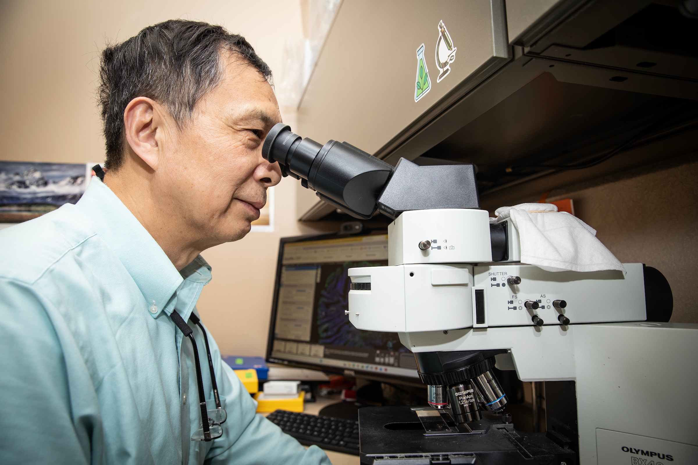 Dr. Timothy Su looks through a microscope in a research lab.