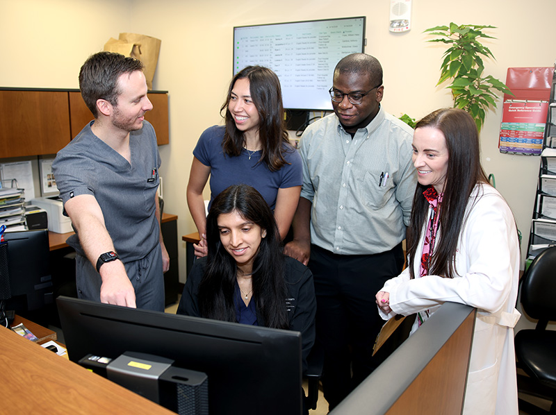 Group of fellows doing research