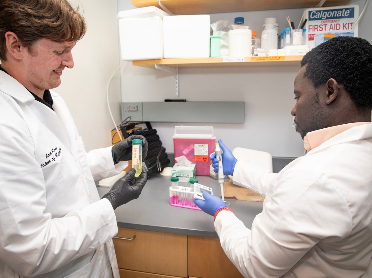 One Black and one white male researcher work together in the lab.