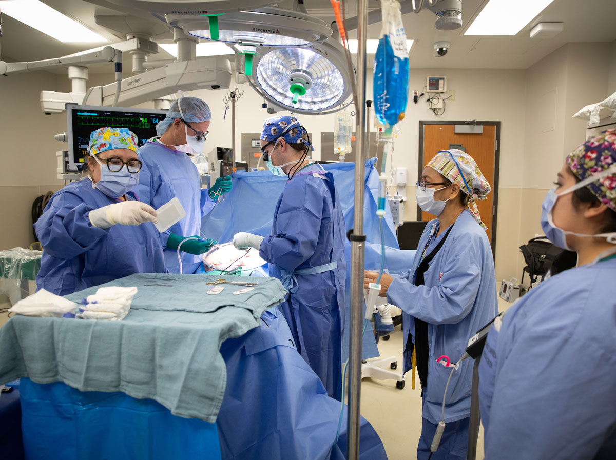 A medical team in blue scrubs and masks conducts a living doror kidney transplant.