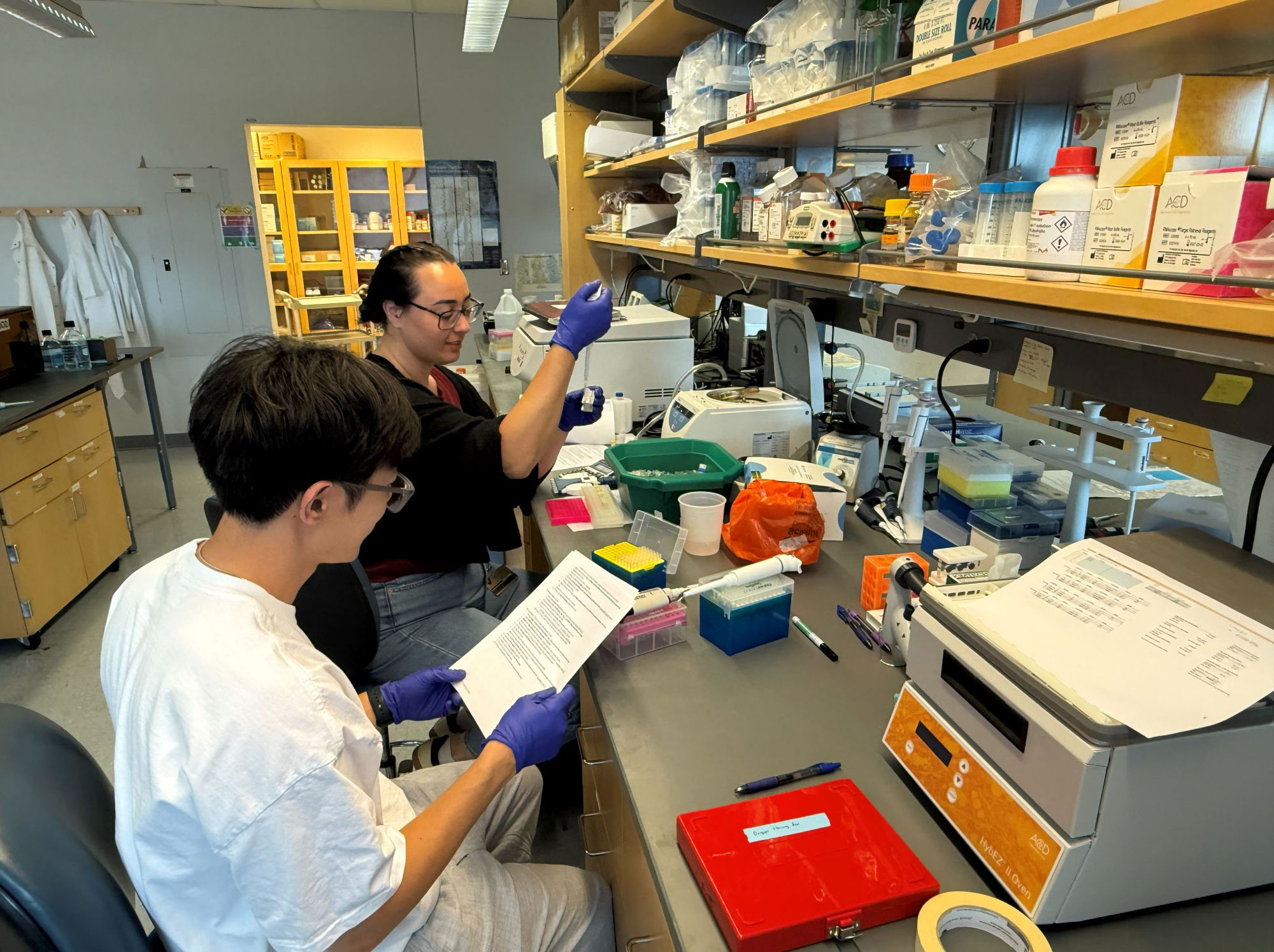 Two young diabetes researchers work together in the lab.