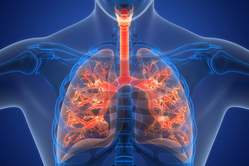 Outcomes in progressive pulmonary fibrosis in systemic autoimmune rheumatic diseases: real-world data from the ILD-PRO Registry
