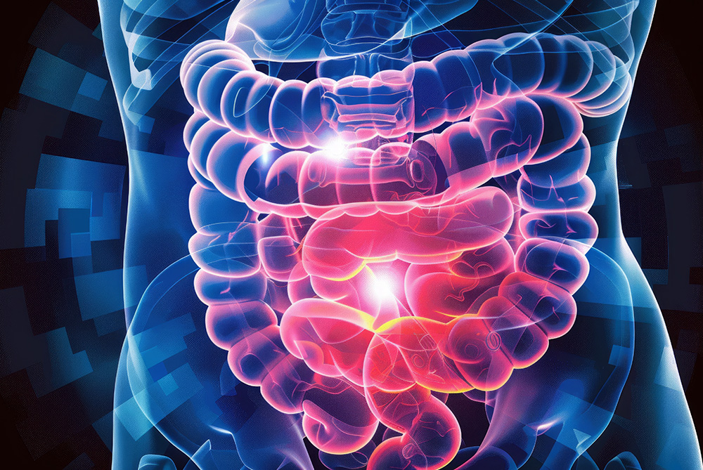  Regulation of EIF5A and hypusination by p53 determines colorectal cancer cell fitness