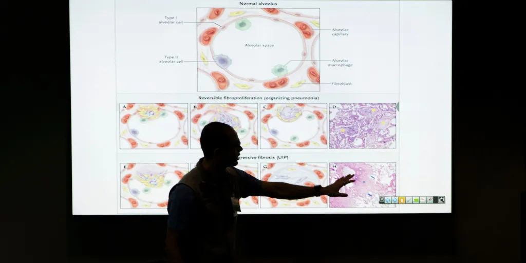 A silhouetted instructor makes a point against a backdrop of medical images on a screen.