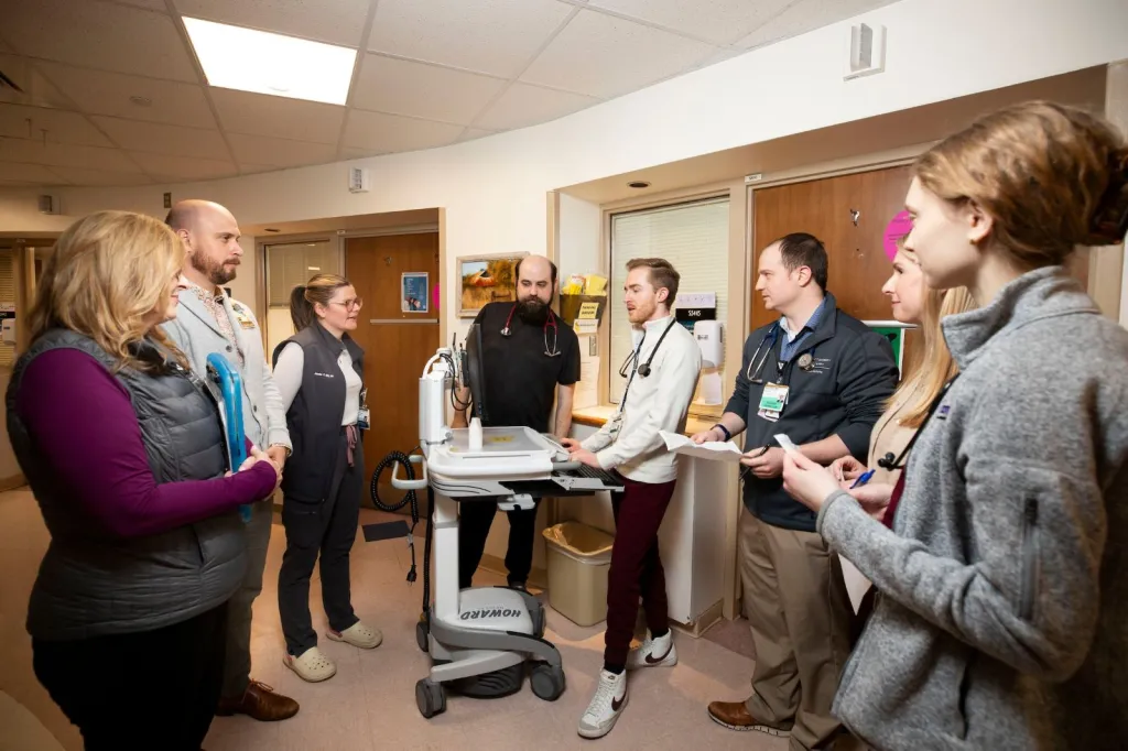 Eight members of the Palliative Care team talk in a hospital hallway.